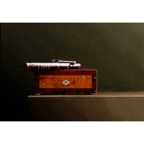 Victories of mankind af Niels Erik Skovballe